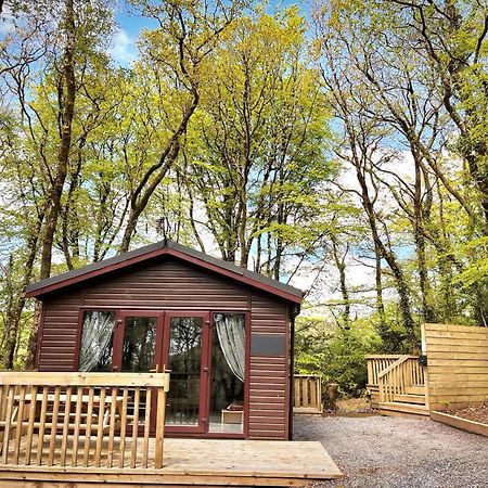 Woodland View -Hot Tub-Tenby-Carmarthen-St Clears Exterior foto