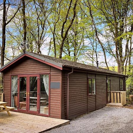Woodland View -Hot Tub-Tenby-Carmarthen-St Clears Exterior foto